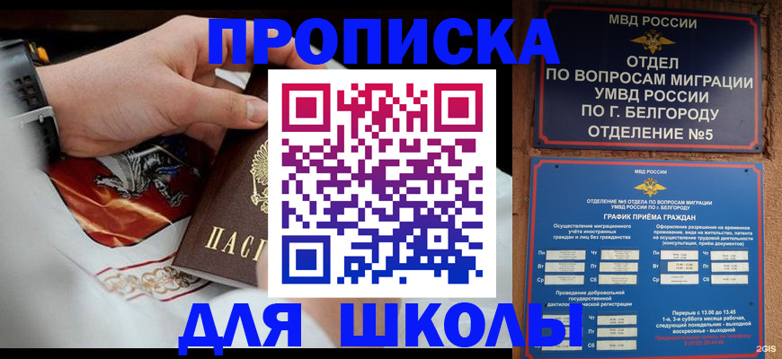 пропишу в квартире в Светлогорске